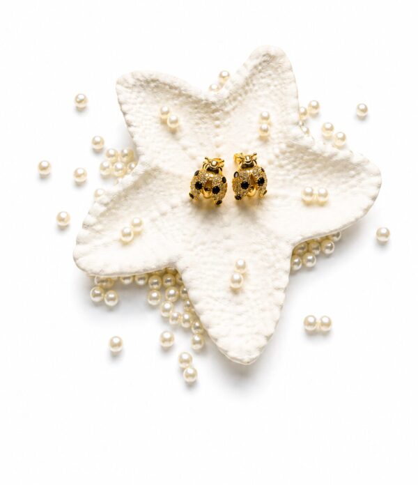 ChatGPT Image Jul 6, 2026 at 10_16_25 PM Laila ladybird stud earrings