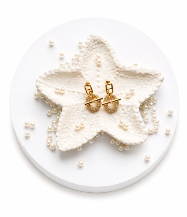 ChatGPT Image Jul 8, 2026 at 12_16_18 AM Orion Pavé Circle Drop Earrings