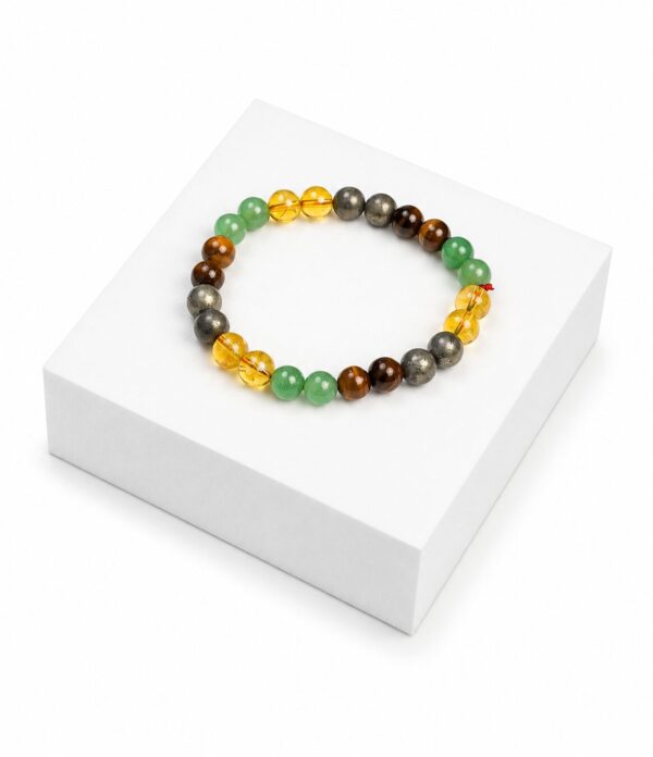 F9C5DC67-4E3D-4AA4-9831-EDDDD1FF943D Samridhi Wealth Crystal Bracelet