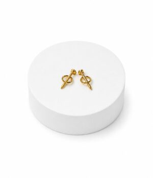 63AAB49B-0DEE-4DEF-AB26-CAC2DE1D7F31 Screw Pin Hoop Stainless Steel Earrings