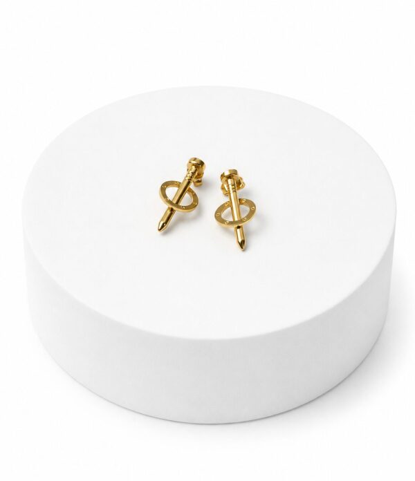 B055E35B-A6E3-4F33-A457-CF71A4DF49E1 Screw Pin Hoop Stainless Steel Earrings