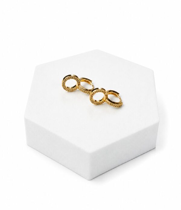 CEF5B849-85DF-4D17-9929-BB6811878993 Pave circle hoop earrings